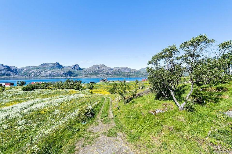 Вилла Vevika Lofoten Gravdal  Экстерьер фото