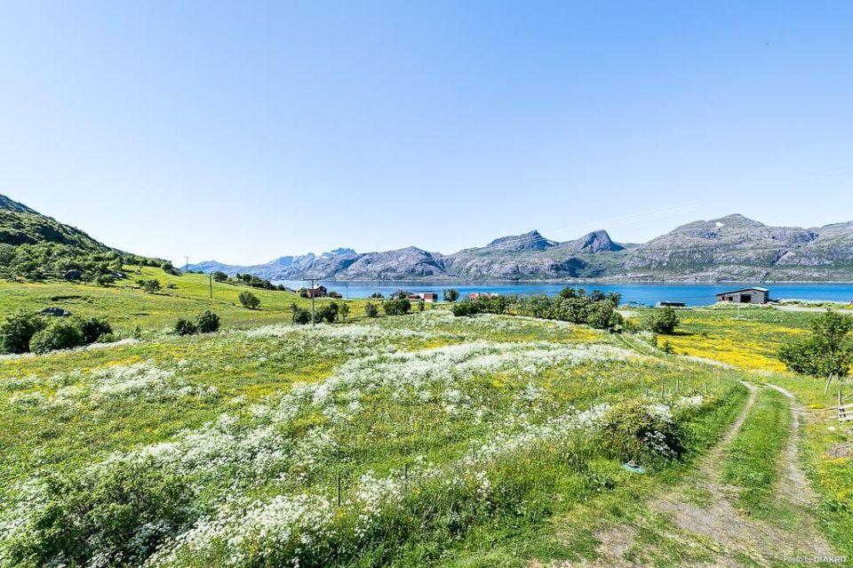 Вилла Vevika Lofoten Gravdal  Экстерьер фото